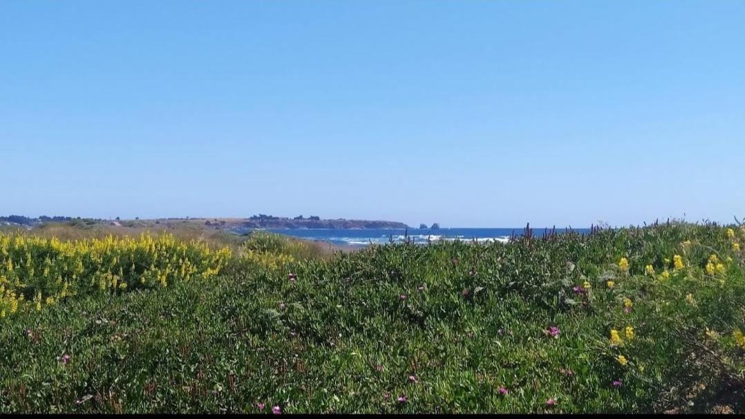 Saldemar Playa Hermosa Pichilemu Exterior photo